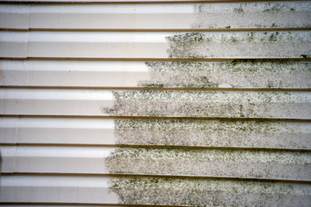 Best Yard Waste Removal  in Masonville, KY