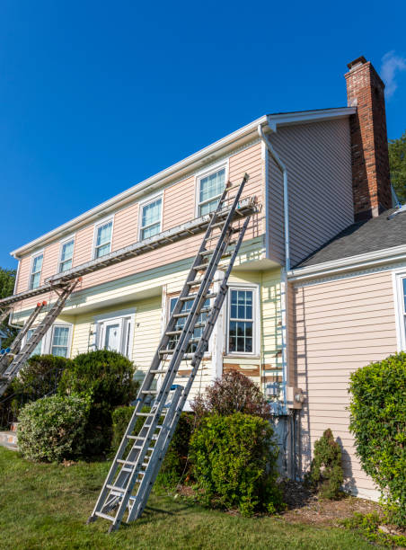 Best Shed Removal  in Masonville, KY